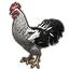 Riverwood White Hen icon